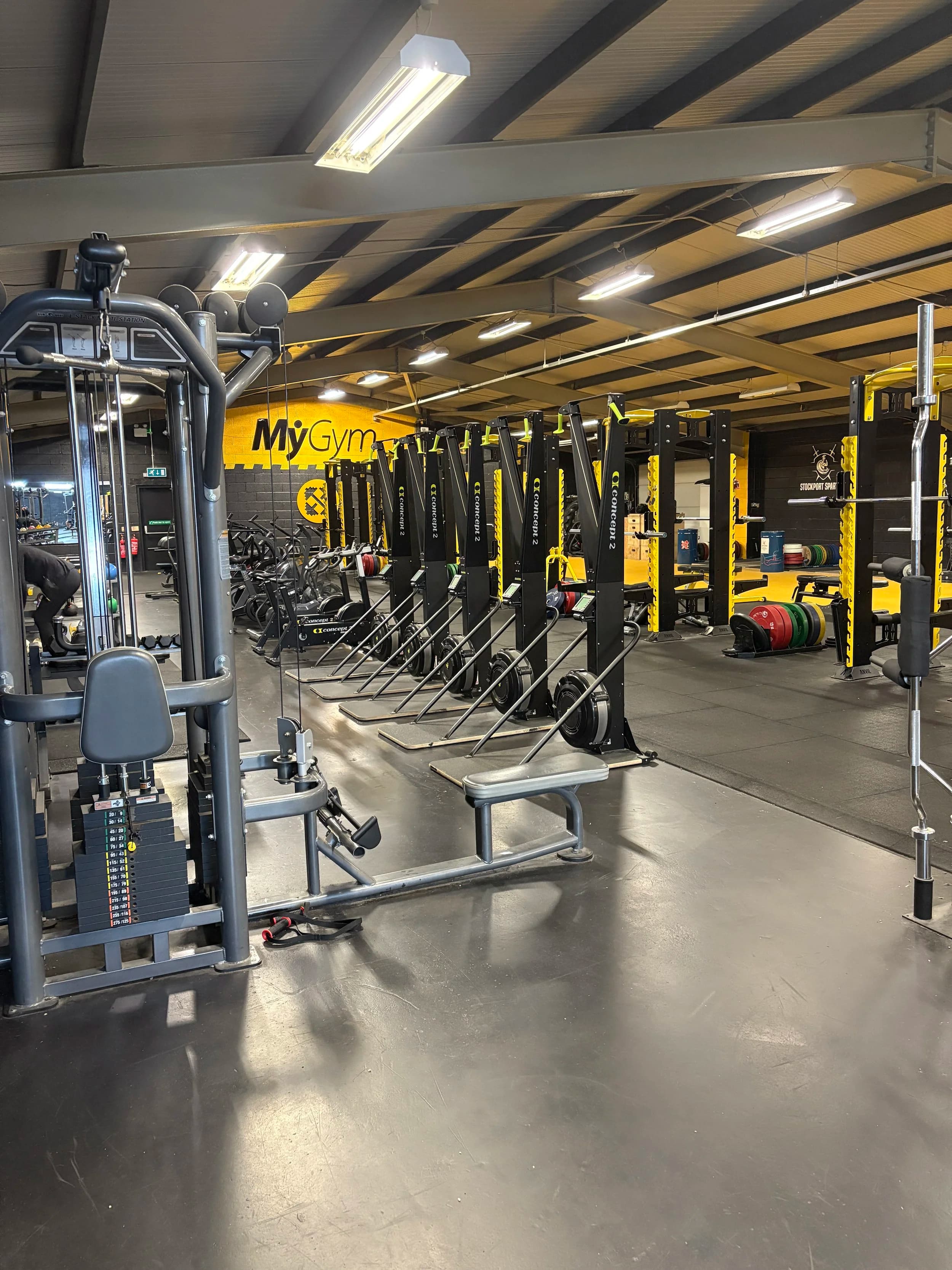 Turf and functional training area